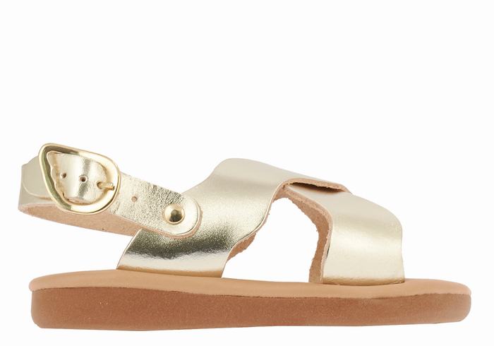 Sandales Casual Ancient Greek Sandals Little Atokos Soft   | KQF-5881904